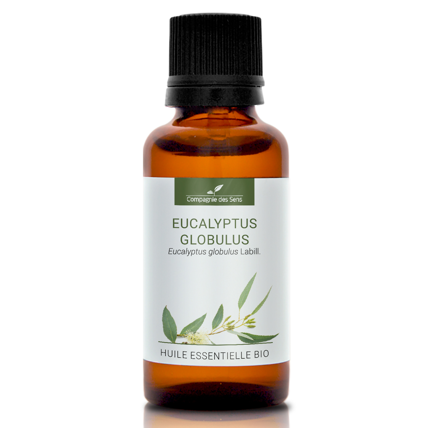 EUCALYPTUS GLOBULUS - Huile essentielle bio 30ml
