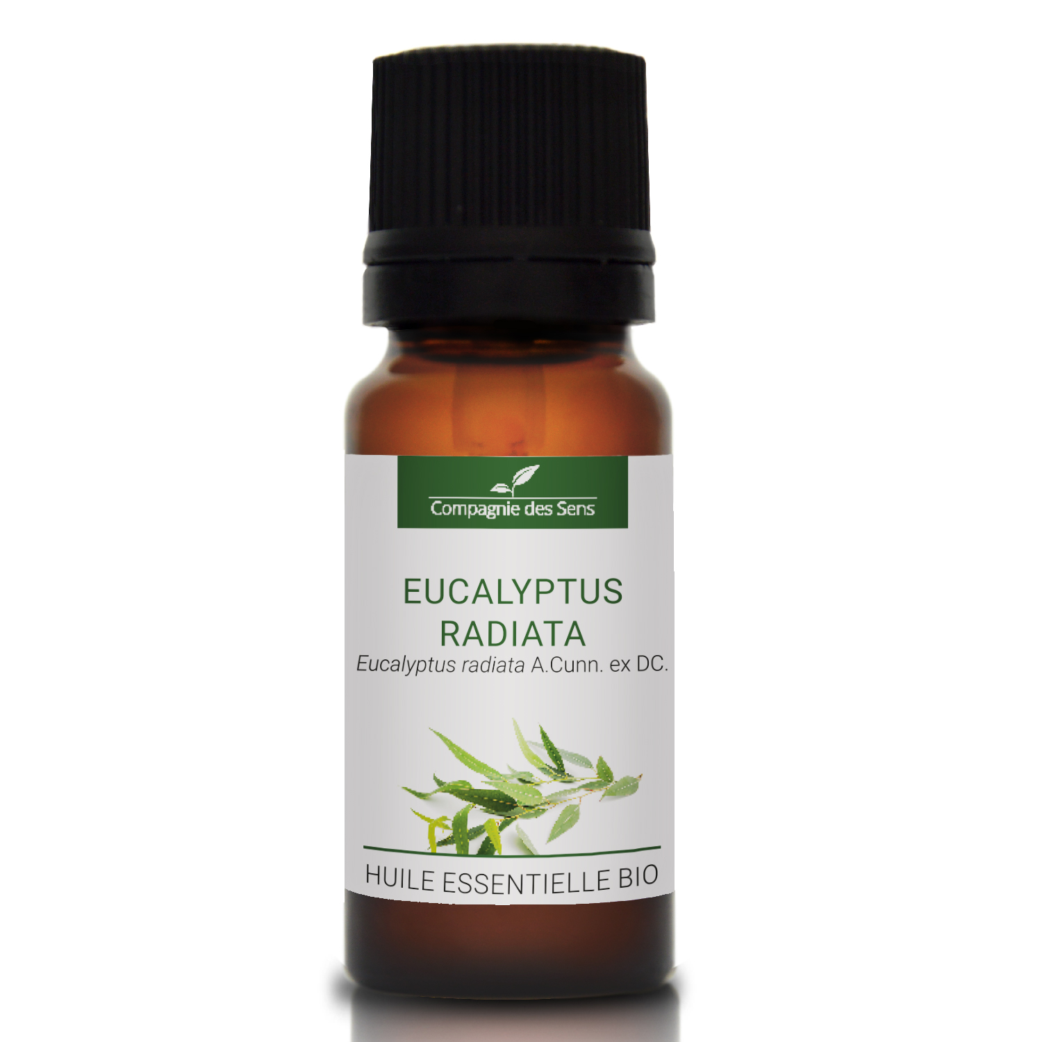EUCALYPTUS RADIATA - Huile essentielle bio 10ml