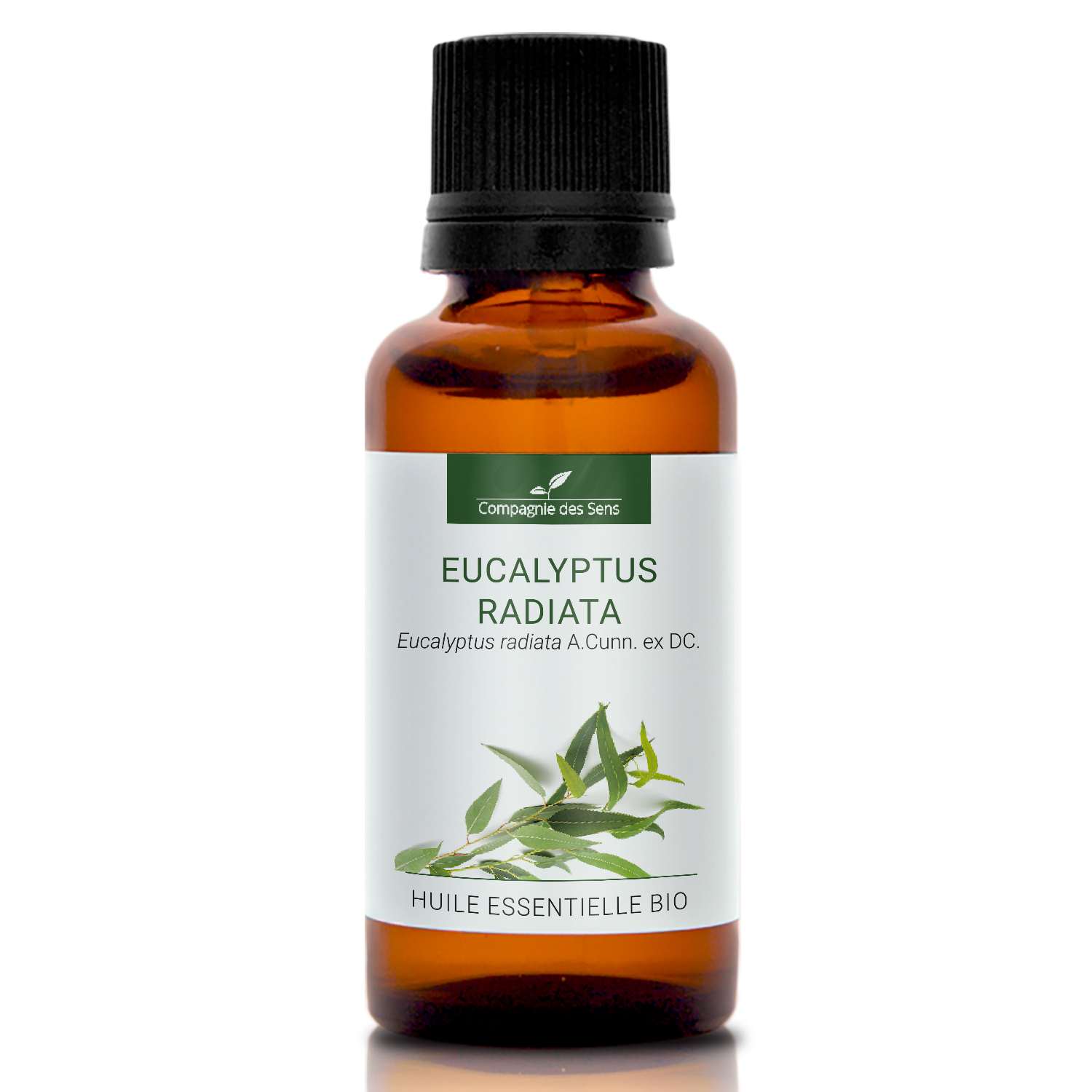 EUCALYPTUS RADIATA - Huile essentielle bio 30ml