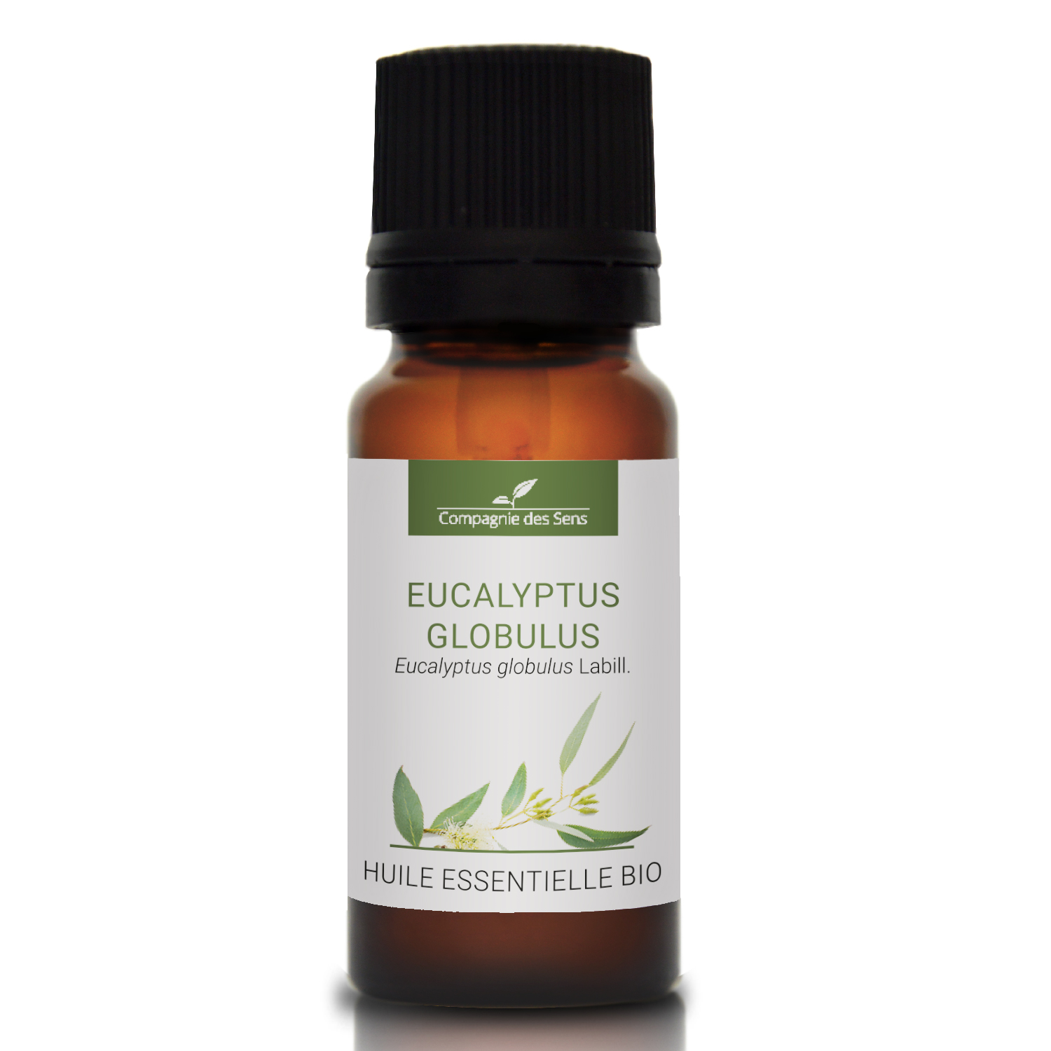 EUCALYPTUS GLOBULUS - Huile essentielle bio 10ml