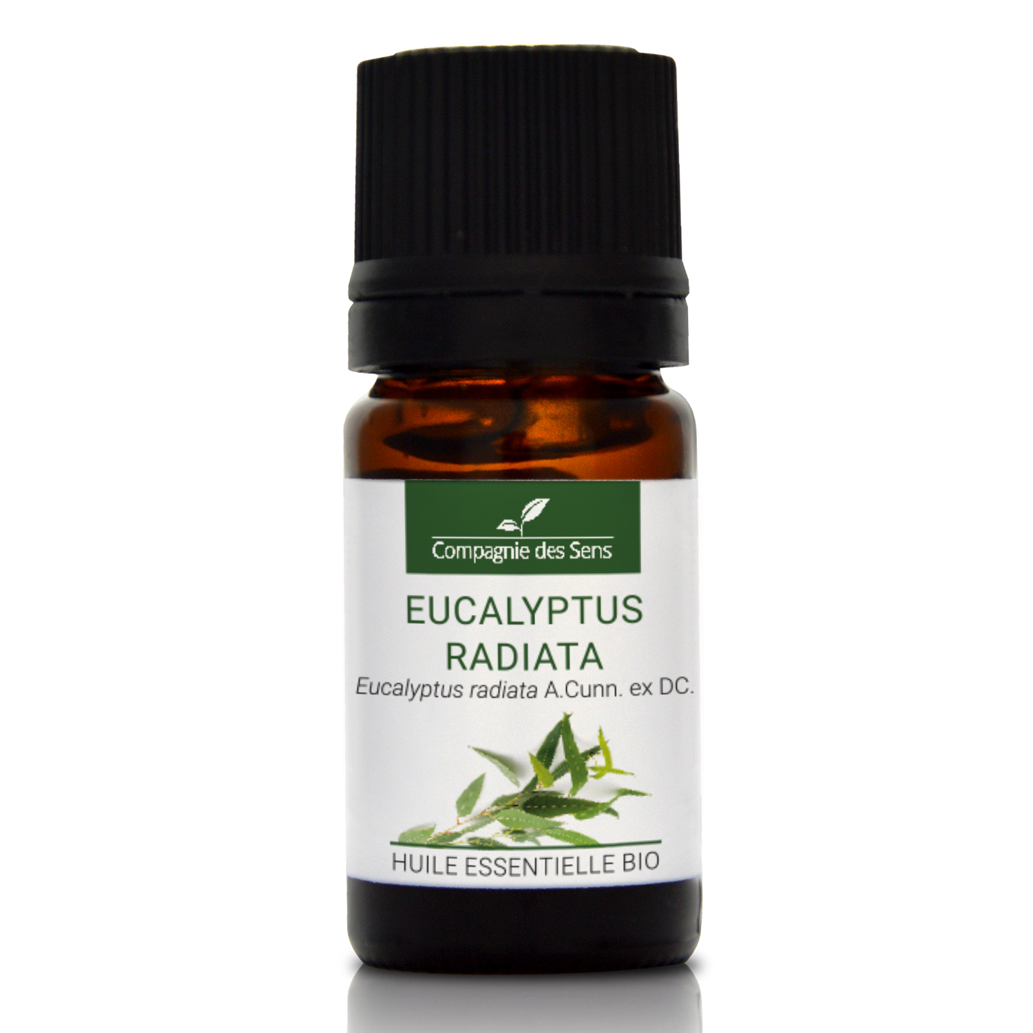 EUCALYPTUS RADIATA - Huile essentielle bio 5ml