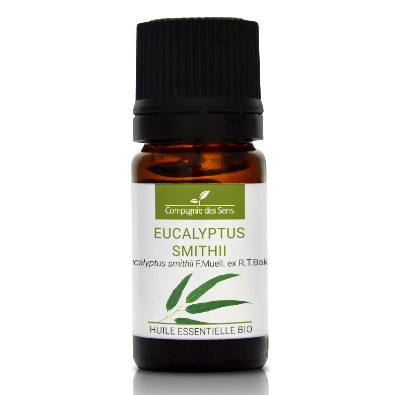 EUCALYPTUS SMITHII - Huile essentielle bio 5ml