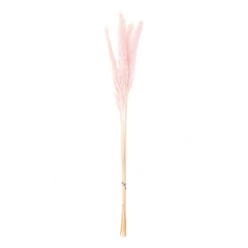 Herbes de Palma séchées rose 70cm
