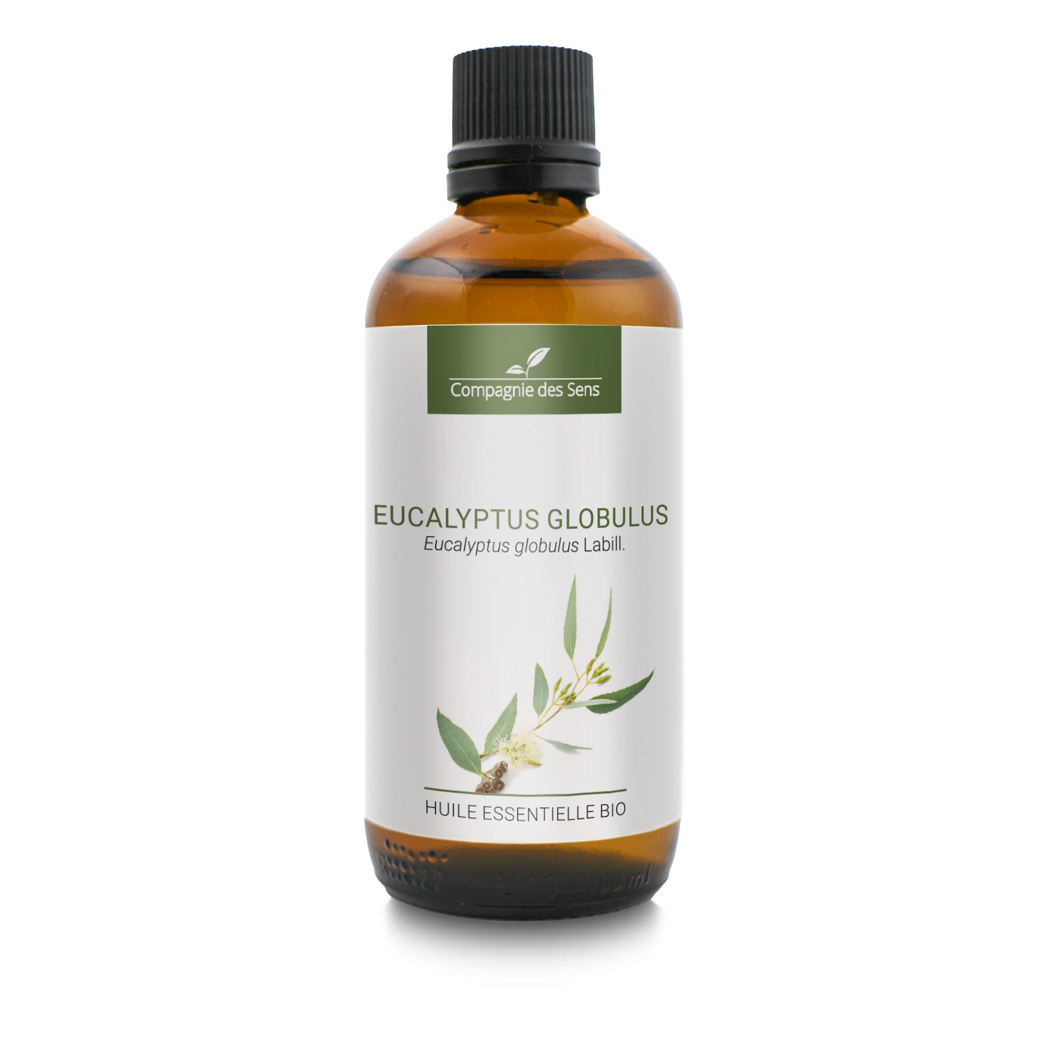 EUCALYPTUS GLOBULUS - Huile essentielle bio 100ml EUCALYPTUS GLOBULUS - Huile essentielle bio 100ml