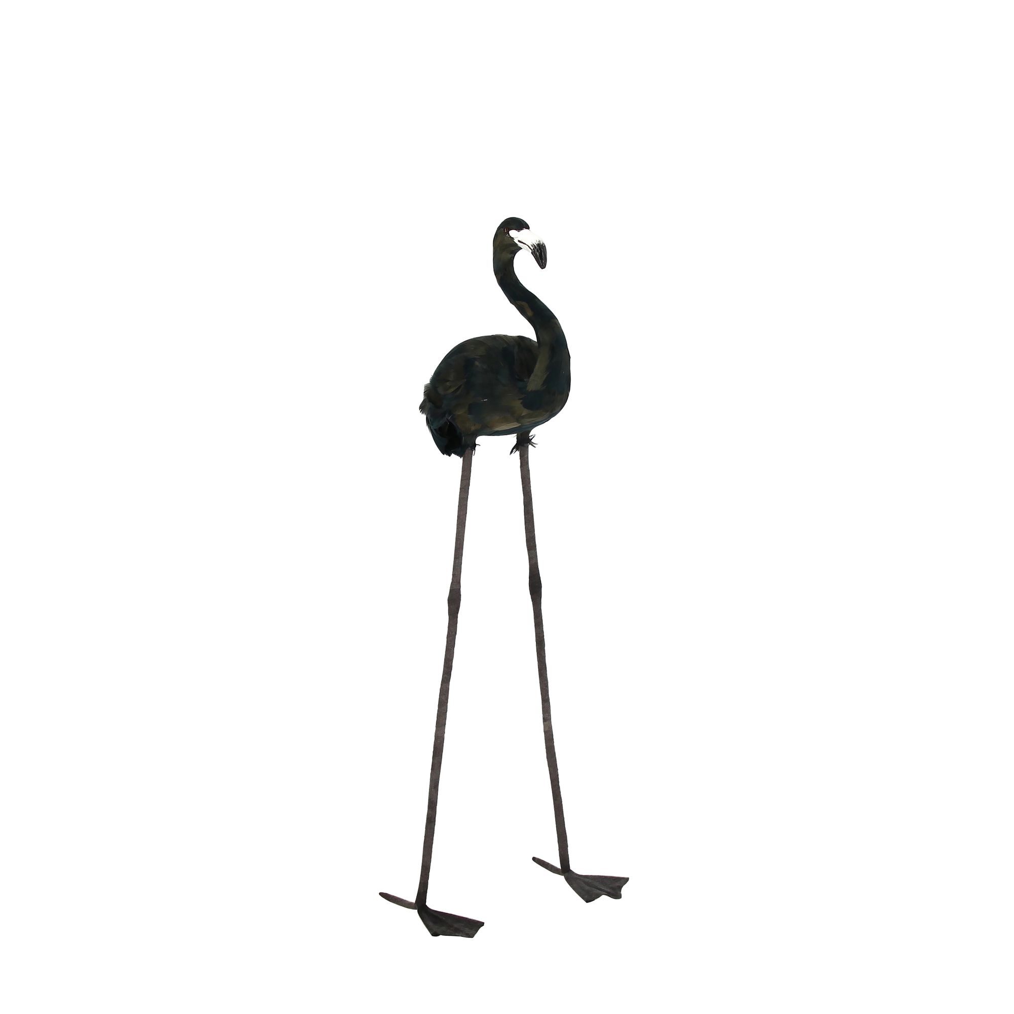 Flamant en plumes d'oie noires H105cm Flamant en plumes d'oie noires H105cm