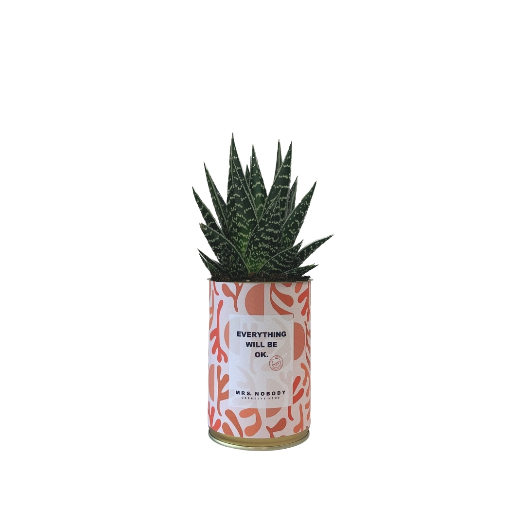 Cactus ou Succulente - Everything Will Be Ok - Aloe