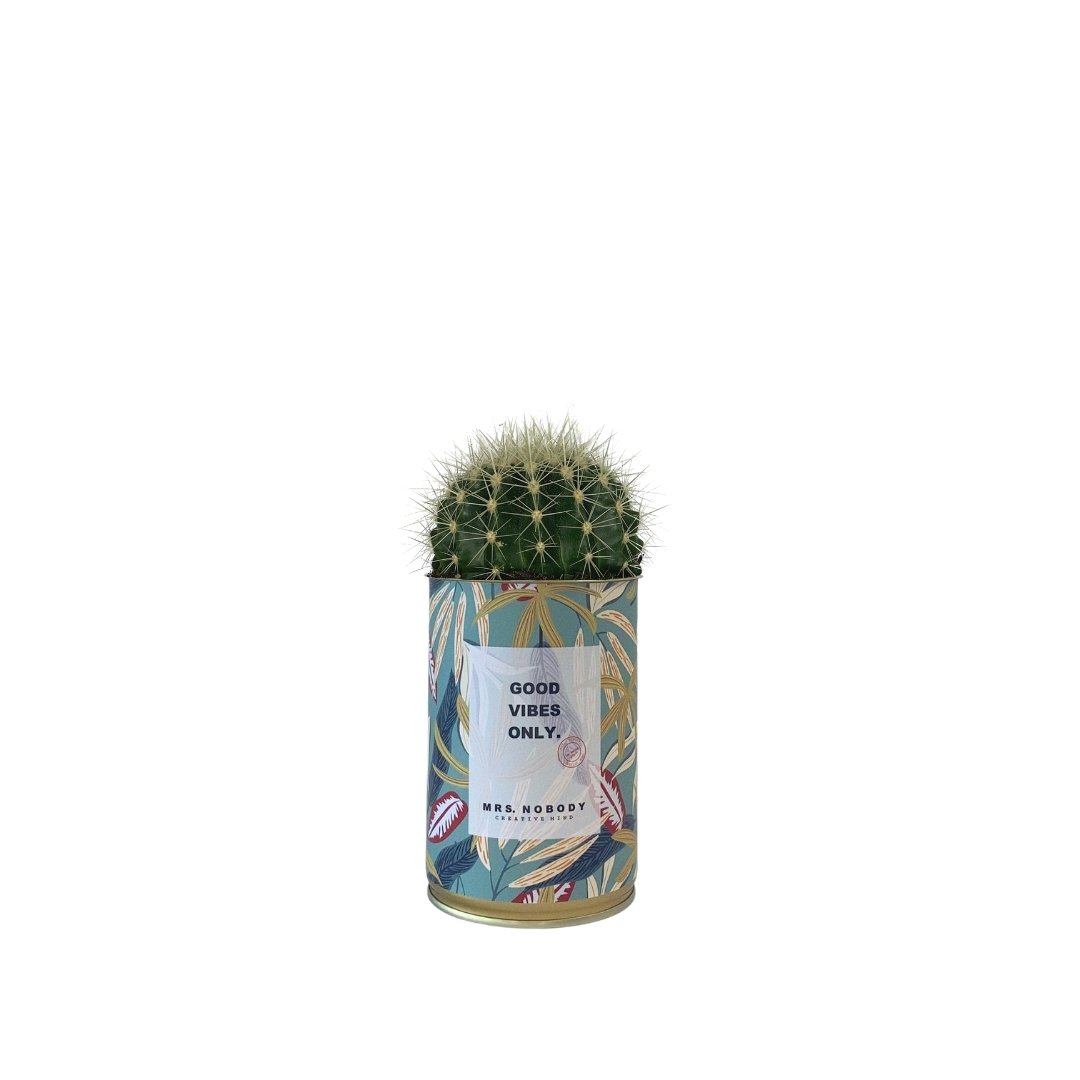 Cactus ou Succulente - Good Vibes Only - Cactus Boule