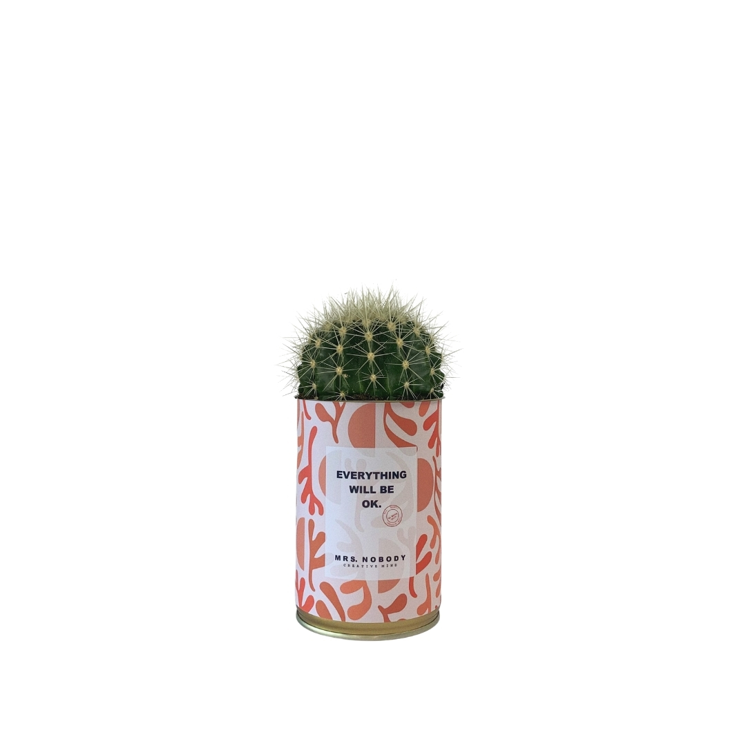Cactus ou Succulente - Everything Will Be Ok - Cactus Boule Cactus ou Succulente - Everything Will Be Ok - Cactus Boule