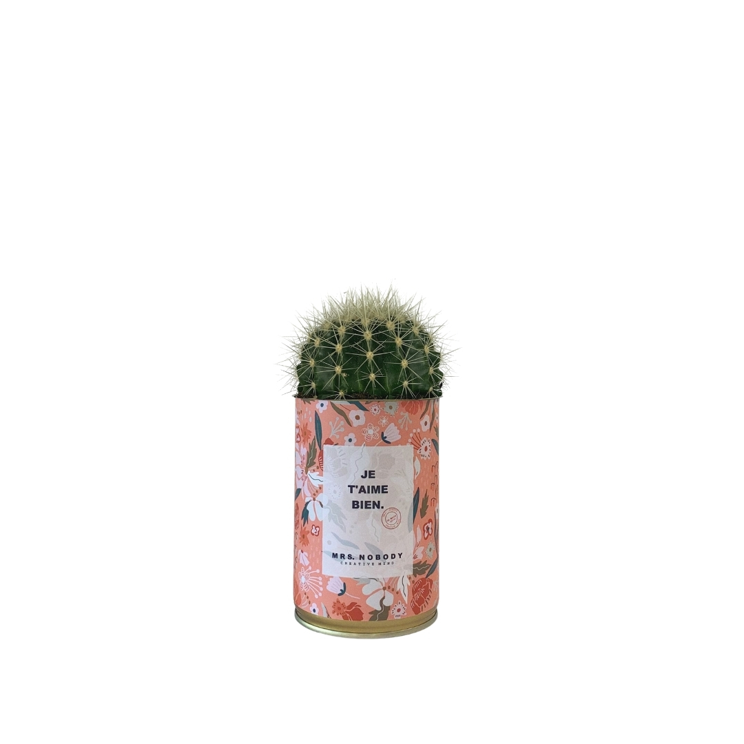 Cactus ou Succulente - Je T'aime Bien - Cactus Boule