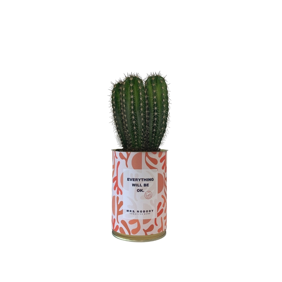 Cactus ou Succulente - Everything Will Be Ok - Cactus Colonne Cactus ou Succulente - Everything Will Be Ok - Cactus Colonne