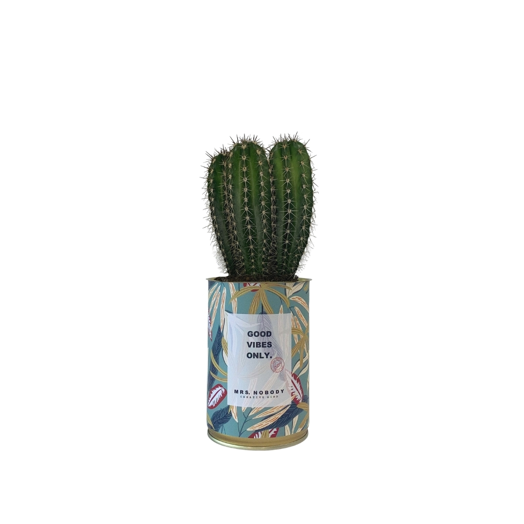 Cactus ou Succulente - Good Vibes Only - Cactus Colonne Cactus ou Succulente - Good Vibes Only - Cactus Colonne