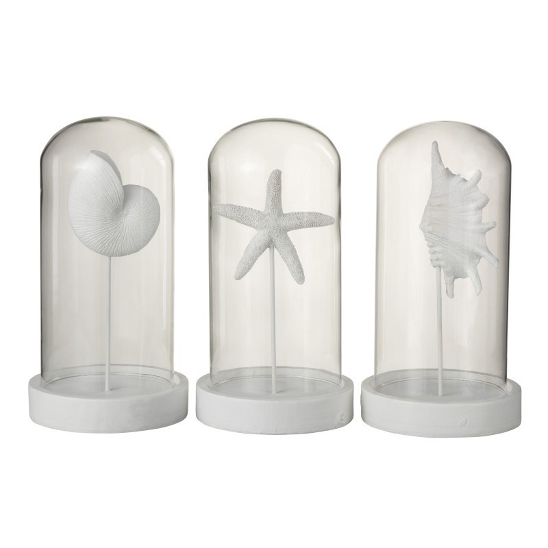 Cloche coquillages résine/verre blanc H29cm - Lot de 3 Cloche coquillages résine/verre blanc H29cm - Lot de 3