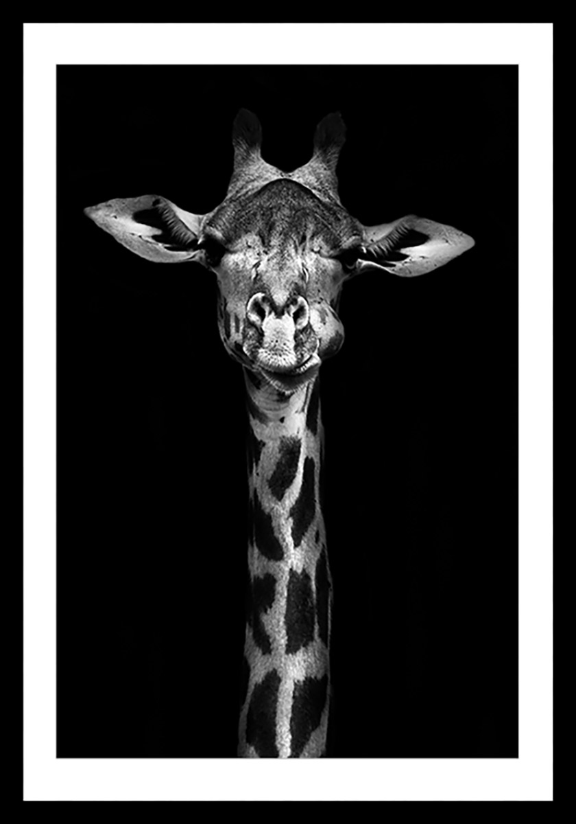 Affiche sous cadre noir girafe haute en portrait 40x60cm