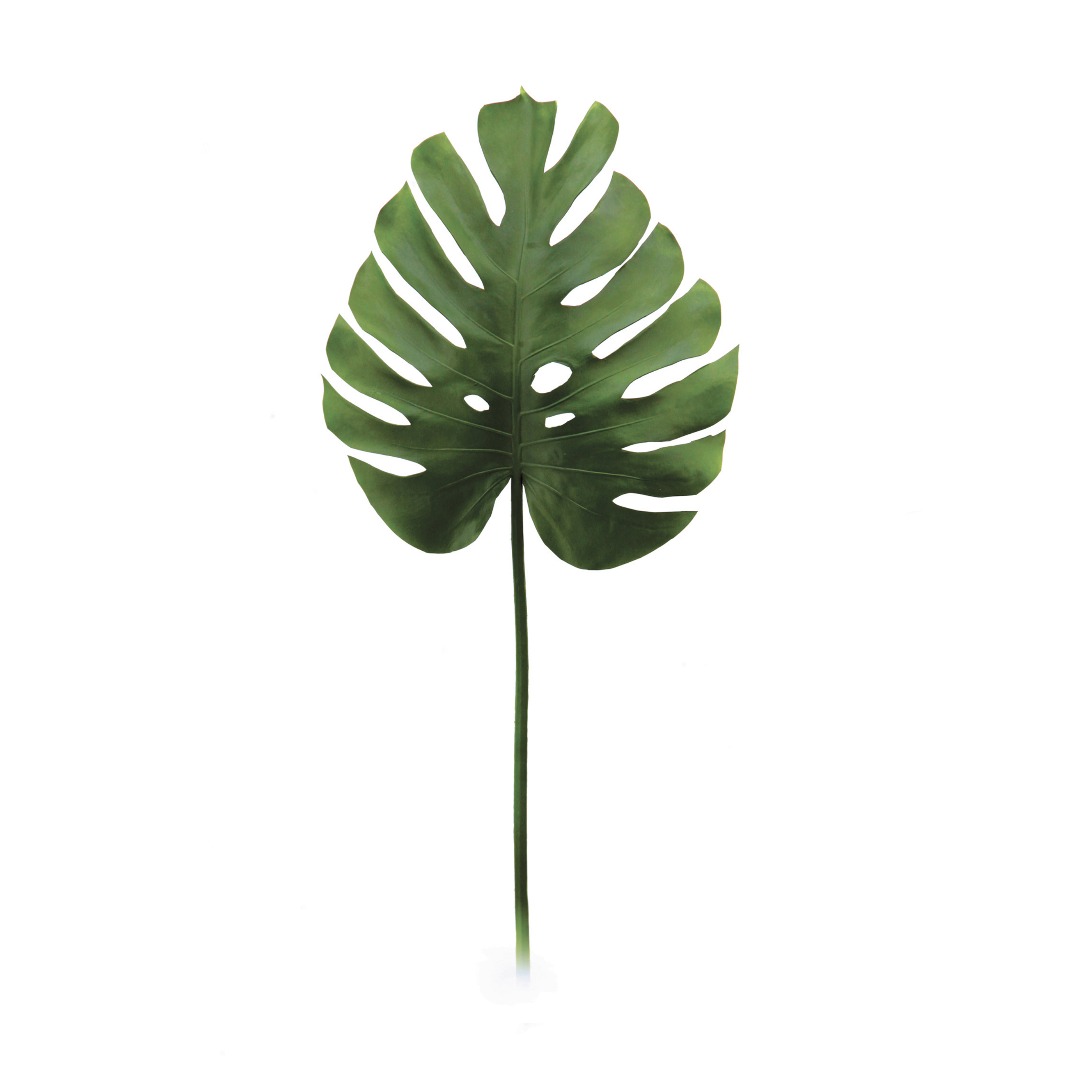 Grande feuille de monstera artificielle Grande feuille de monstera artificielle