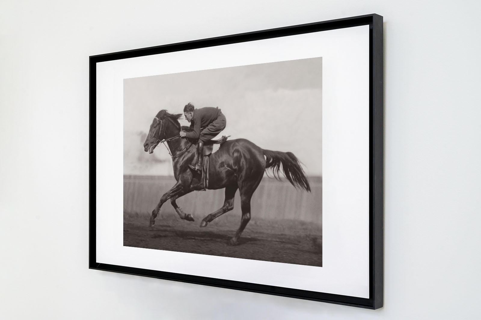 Photo ancienne noir et blanc cheval n°40 cadre noir 70x105cm