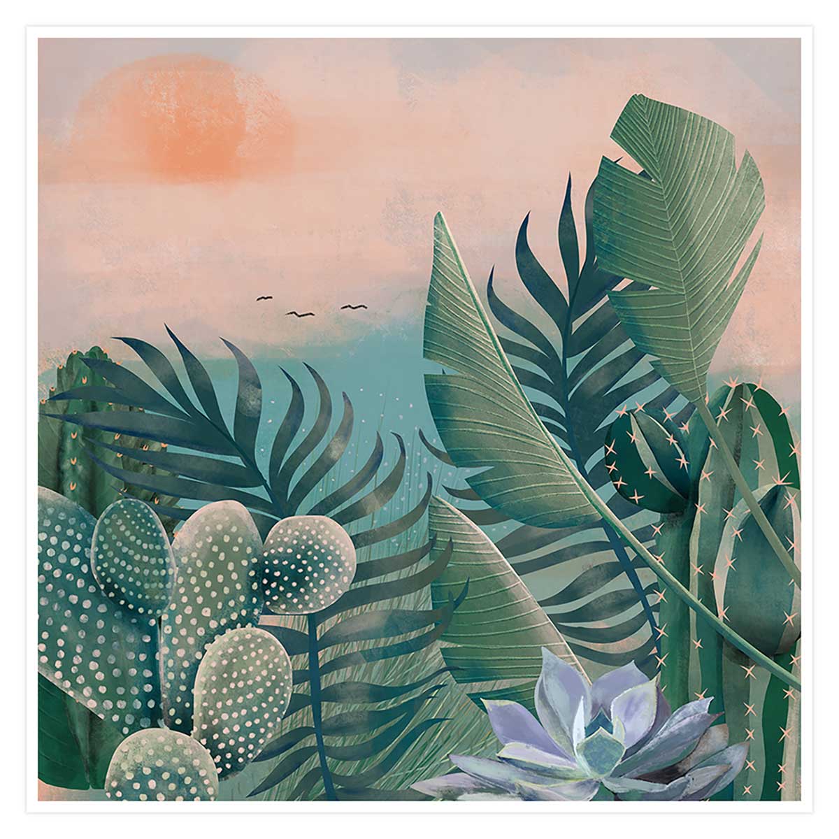 Affiche illustration jardin succulentes et cie 80x80cm