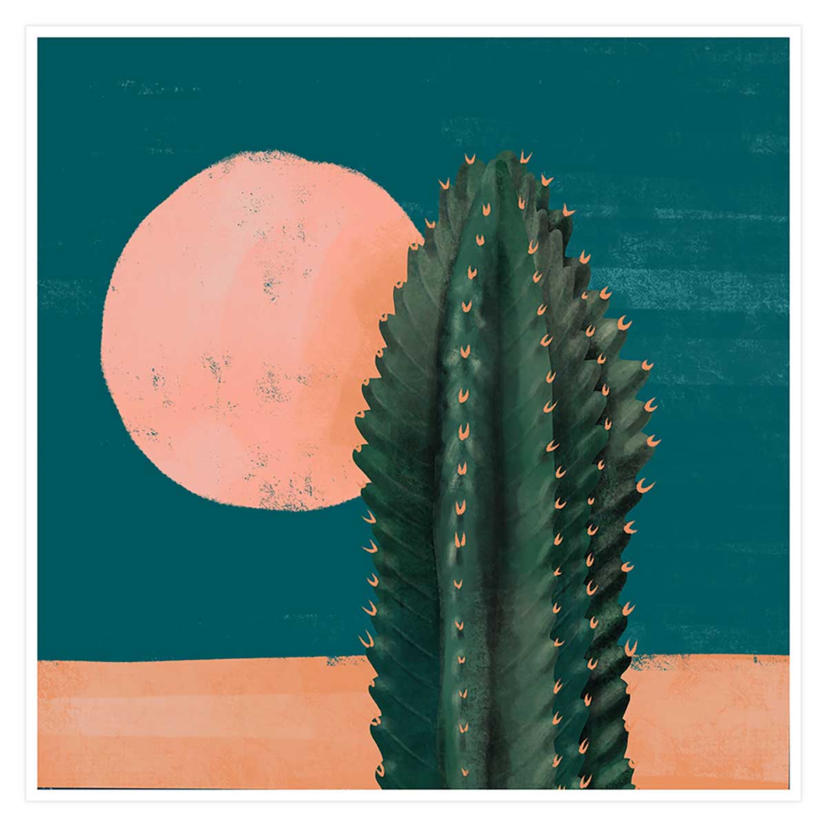 Affiche illustration cactus et soleil rose 80x80cm Affiche illustration cactus et soleil rose 80x80cm