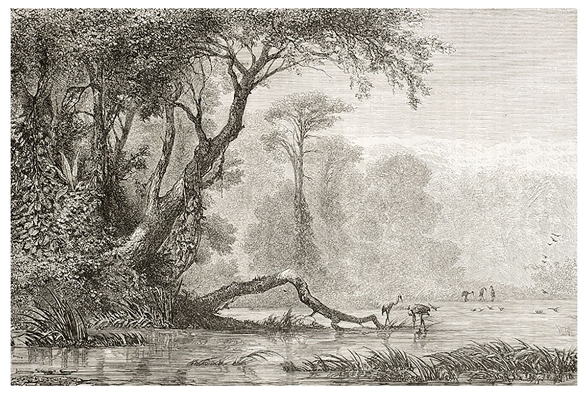 Affiche gravure les bords du fleuve Affiche seule Affiche gravure les bords du fleuve Affiche seule