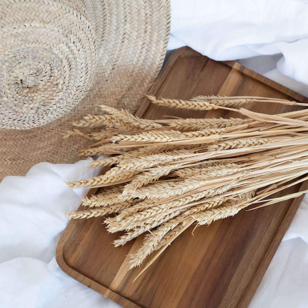 Botte Blé séché naturel Botte Blé séché naturel