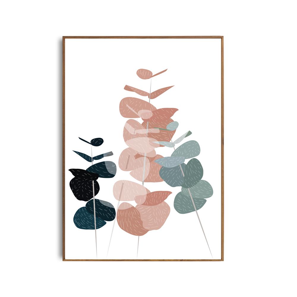 Affiche eucalyptus A3 Affiche eucalyptus A3