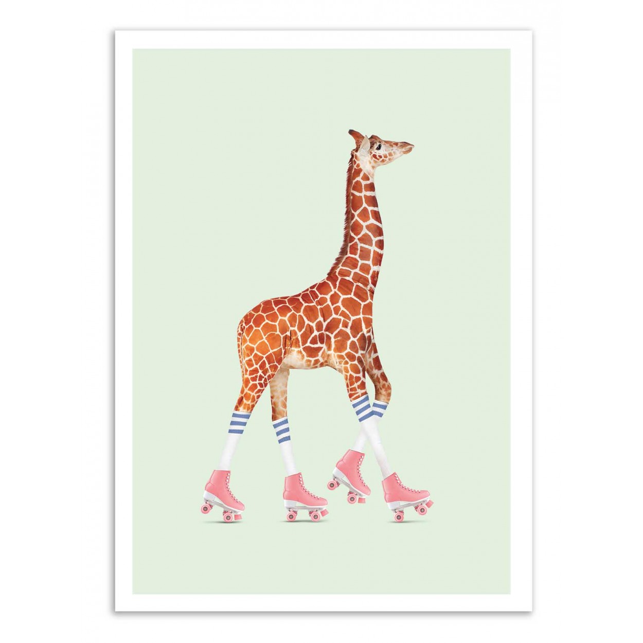 ROLLERSKATING GIRAFFE - Affiche d'art 50 x 70 cm ROLLERSKATING GIRAFFE - Affiche d'art 50 x 70 cm