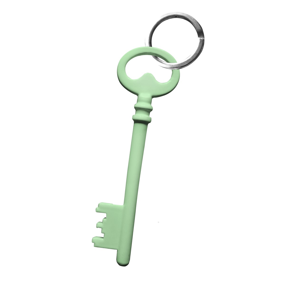 Porte clefs en acier vert chèvrefeuille Porte clefs en acier vert chèvrefeuille