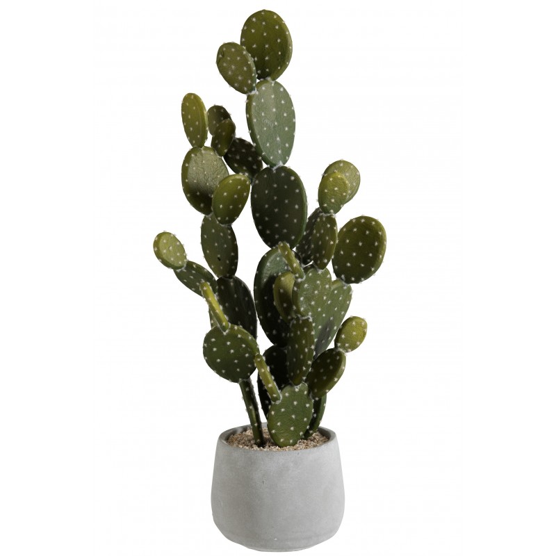 Cactus vert et pot ciment H66cm