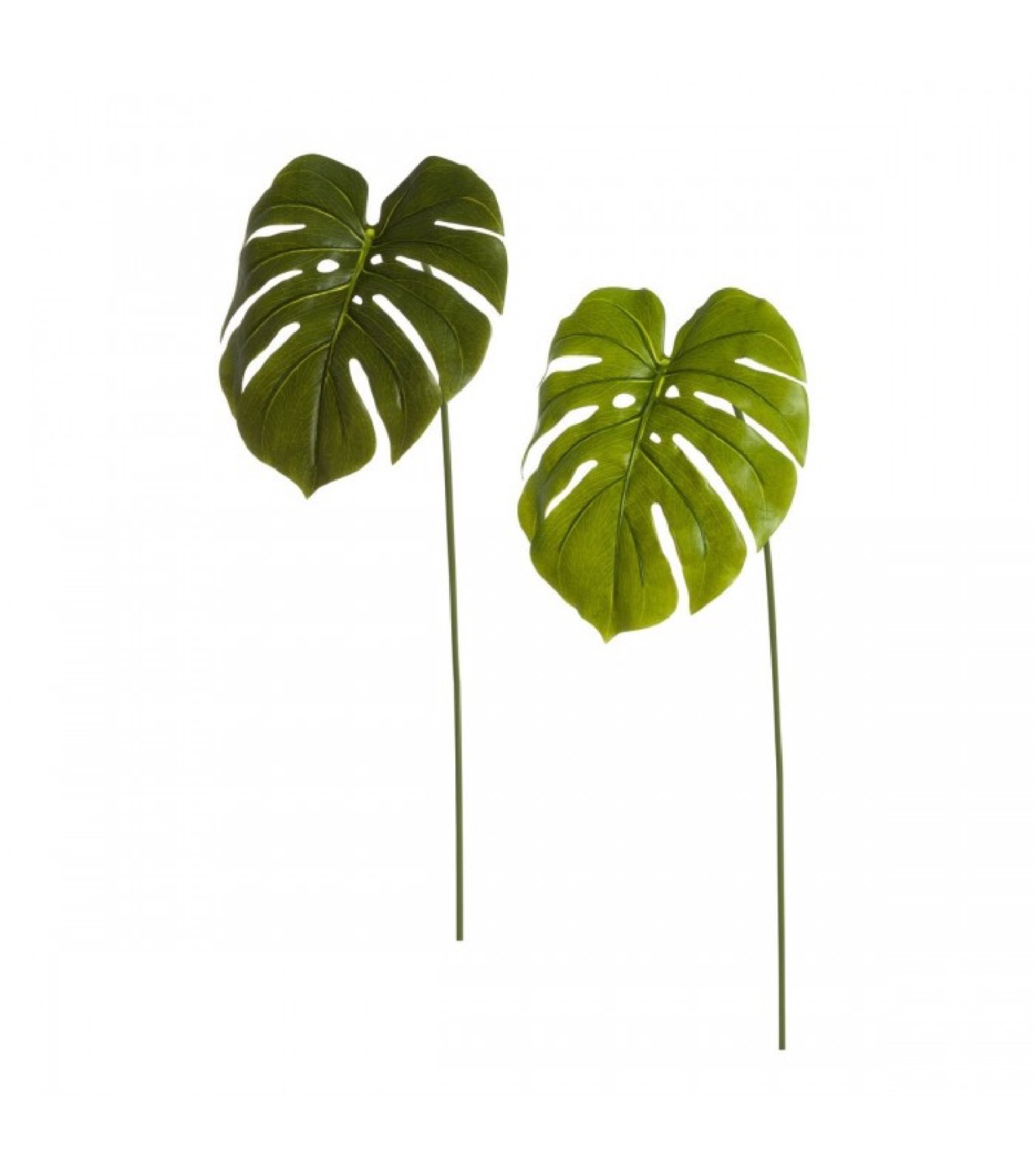 Set de 2 feuilles sur tiges artificielles monstera H73cm Set de 2 feuilles sur tiges artificielles monstera H73cm