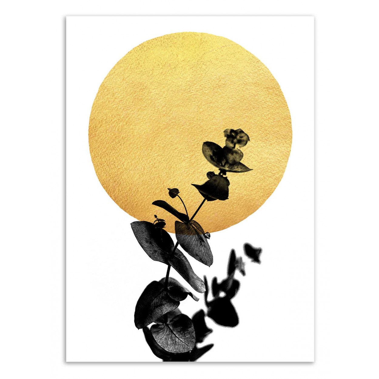 Affiche d'art 50 x 70 cm Affiche d'art 50 x 70 cm