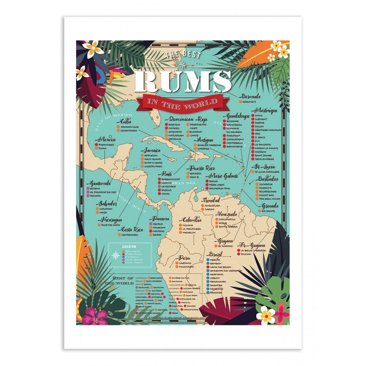 BEST RUMS IN THE WORLD - FROG POSTERS -  Affiche d'art 50 x 70 cm