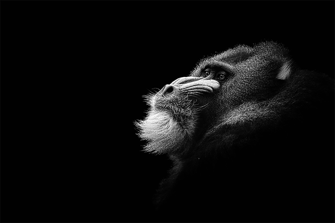Photographie d'art de Guillaume Mordacq 60x90 cm sur alu Photographie d'art de Guillaume Mordacq 60x90 cm sur alu