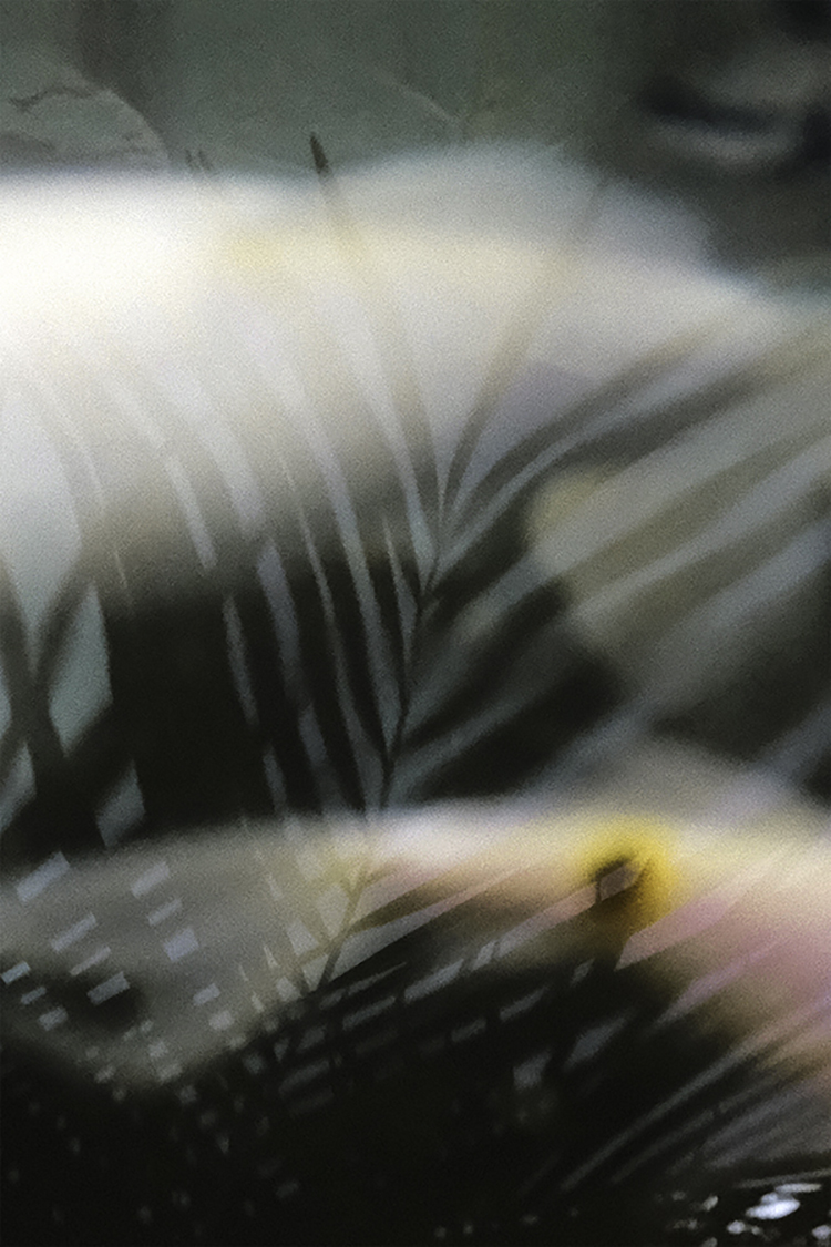 Photographie d'art de Zoé Pignolet 40x60 cm sur alu