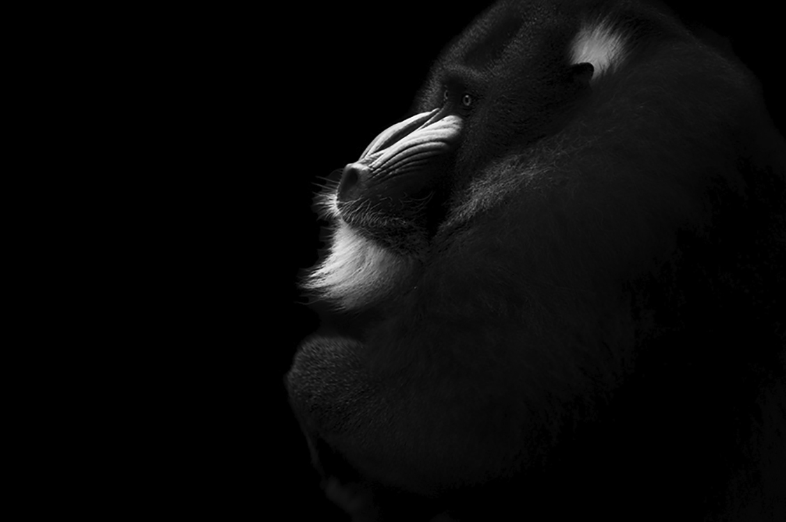 Photographie d'art de Guillaume Mordacq 30x45 cm sur alu Photographie d'art de Guillaume Mordacq 30x45 cm sur alu