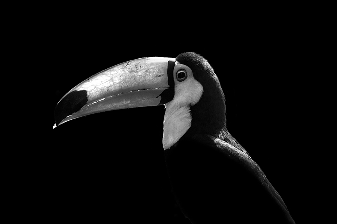 Photographie d'art de Guillaume Mordacq 30x45 cm sur alu Photographie d'art de Guillaume Mordacq 30x45 cm sur alu