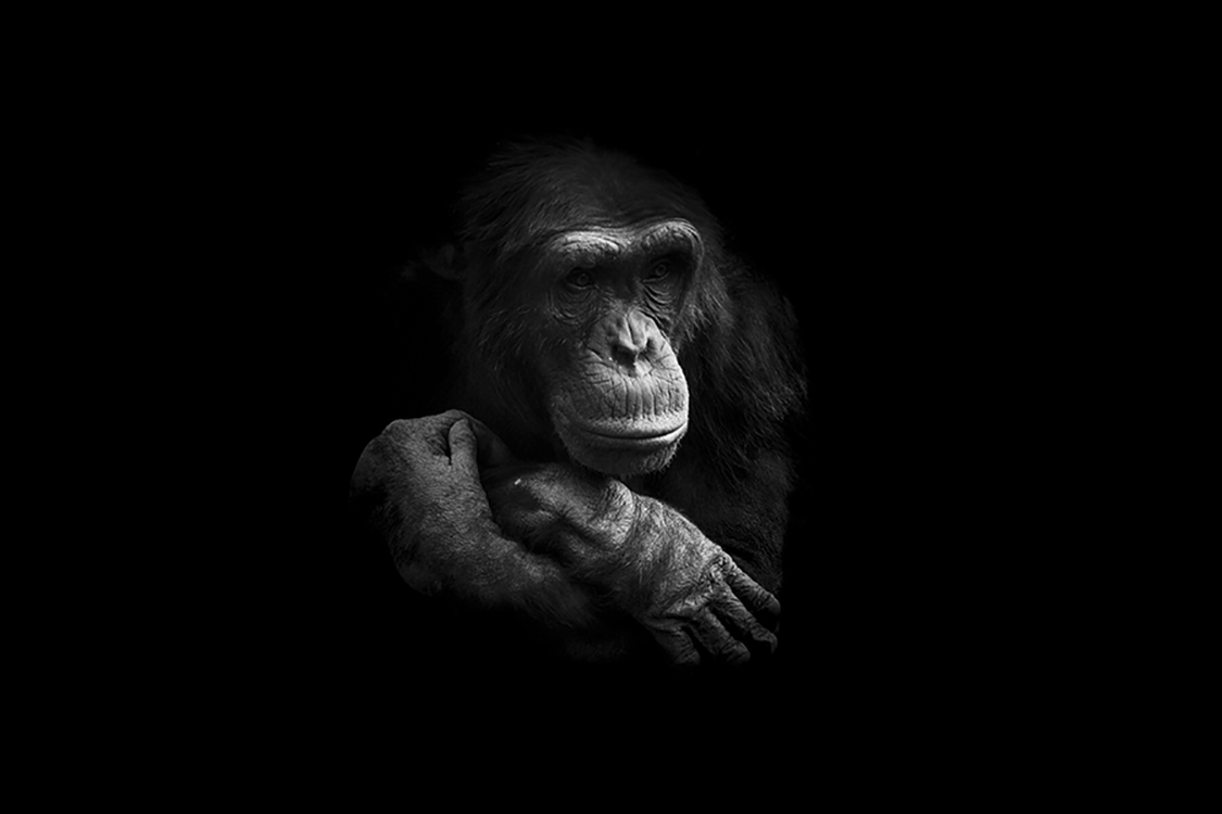 Photographie d'art de Guillaume Mordacq 60x90 cm sur alu Photographie d'art de Guillaume Mordacq 60x90 cm sur alu