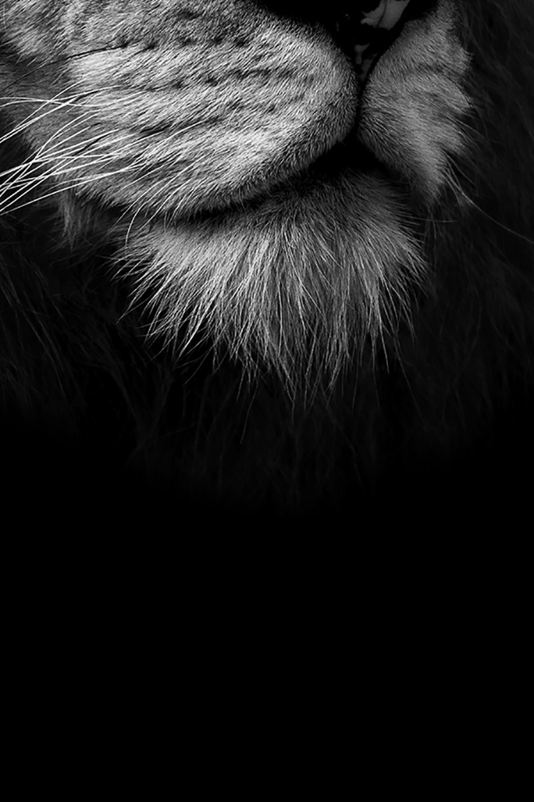 Photographie d'art de Guillaume Mordacq 60x90 cm sur alu Photographie d'art de Guillaume Mordacq 60x90 cm sur alu