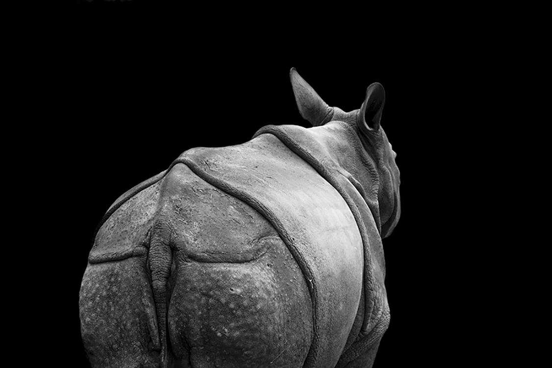 Photographie d'art de Guillaume Mordacq 60x90 cm sur alu Photographie d'art de Guillaume Mordacq 60x90 cm sur alu