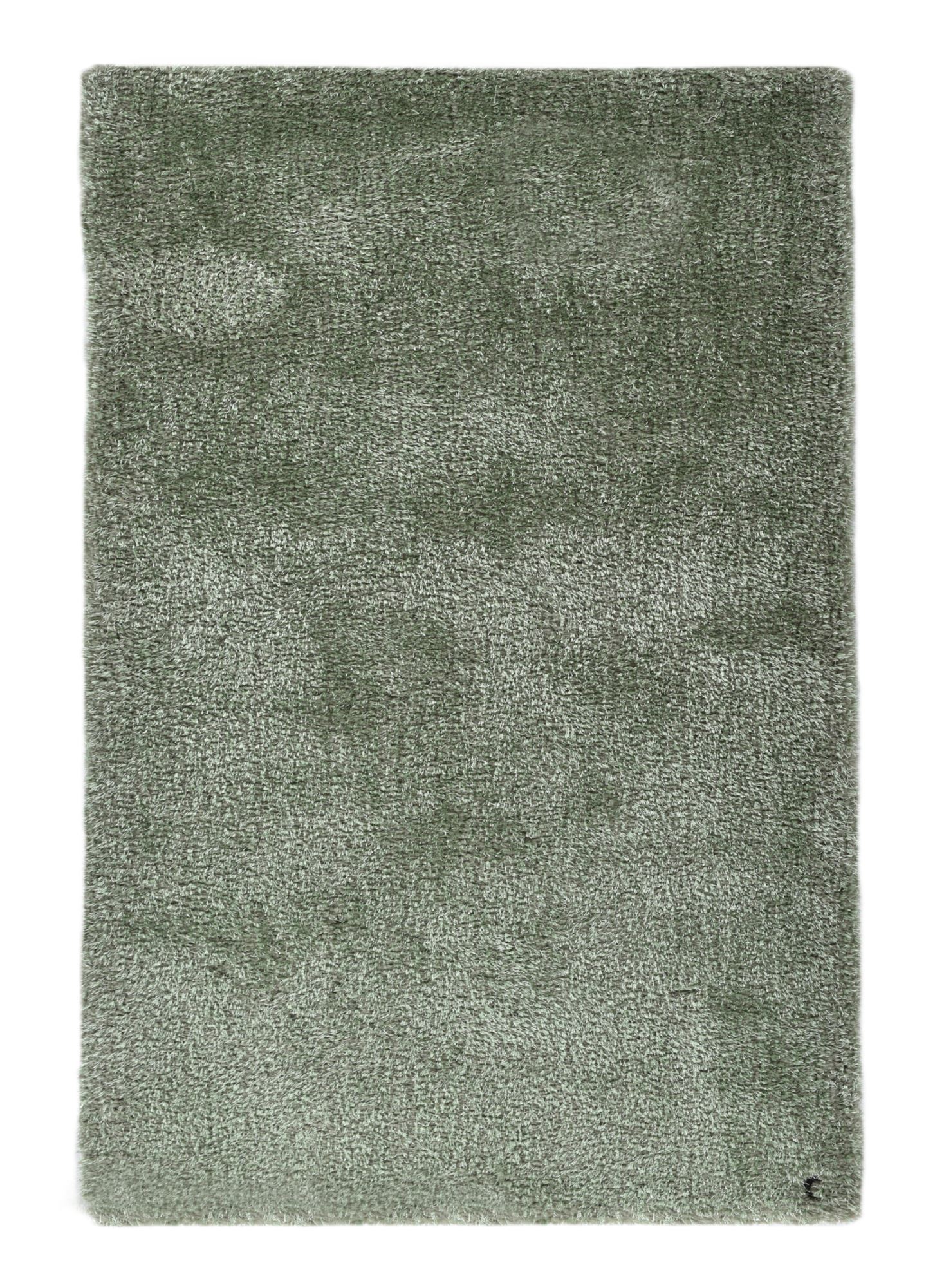 Tapis brilliant shaggy - à longs poils - épais - Vert clair 85x155 Tapis brilliant shaggy - à longs poils - épais - Vert clair 85x155