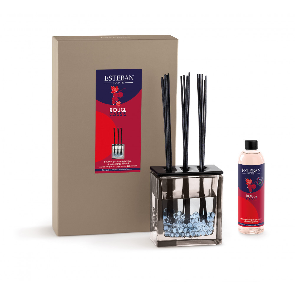 Bouquet parfumé triptyque et sa recharge 250ml rouge cassis Bouquet parfumé triptyque et sa recharge 250ml rouge cassis