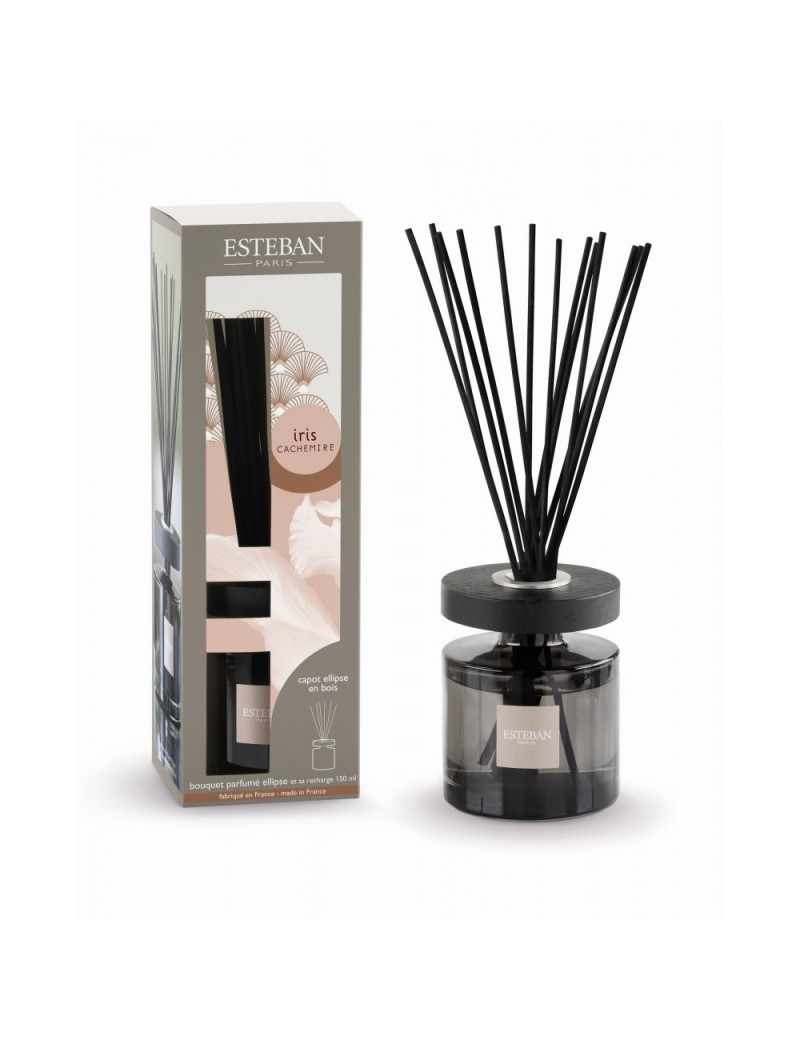 Bouquet parfumé ellipse et sa recharge 150ml iris cachemire Bouquet parfumé ellipse et sa recharge 150ml iris cachemire