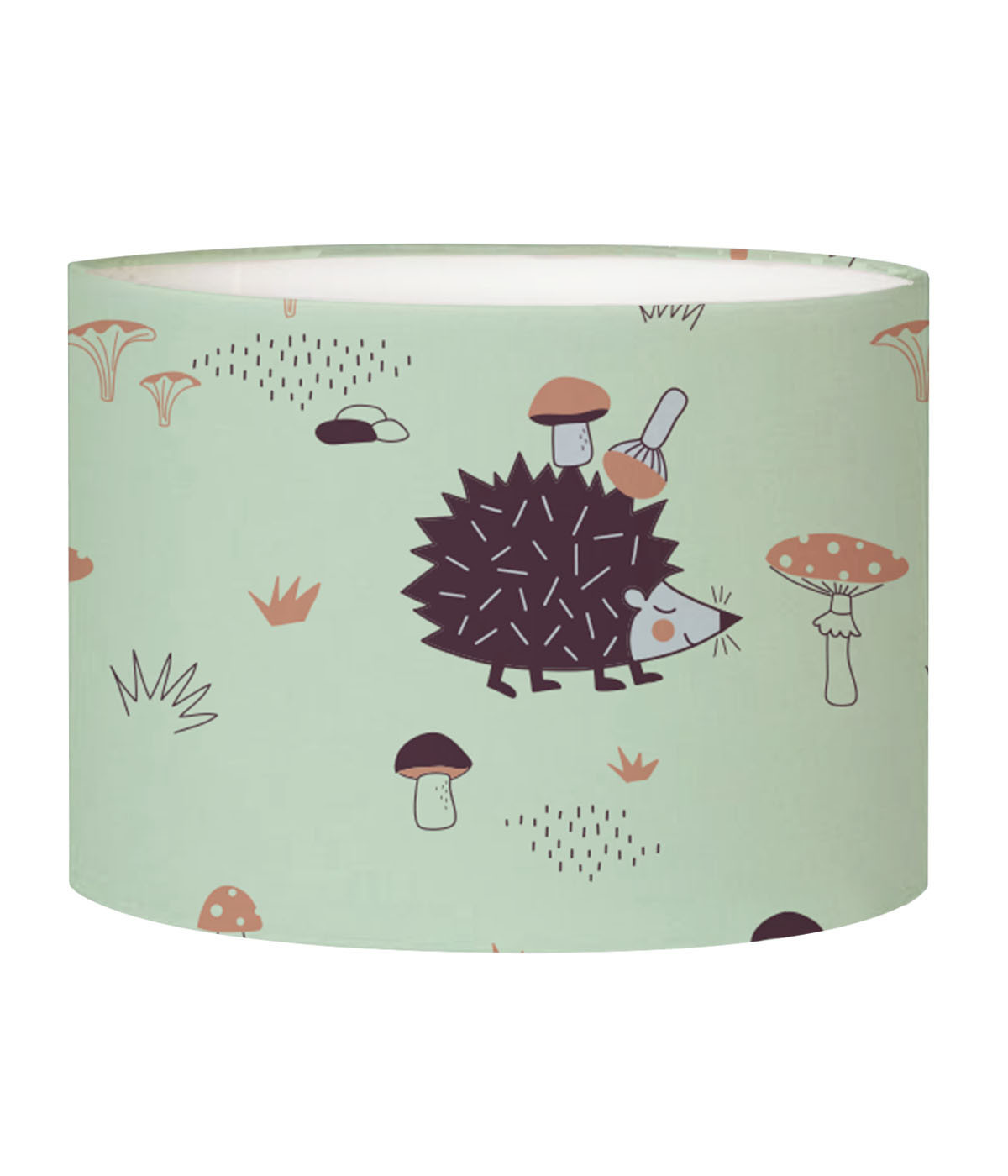 Abat-jour lampadaire enfant Hérisson Vert Pastel D 45 x H 25 Abat-jour lampadaire enfant Hérisson Vert Pastel D 45 x H 25