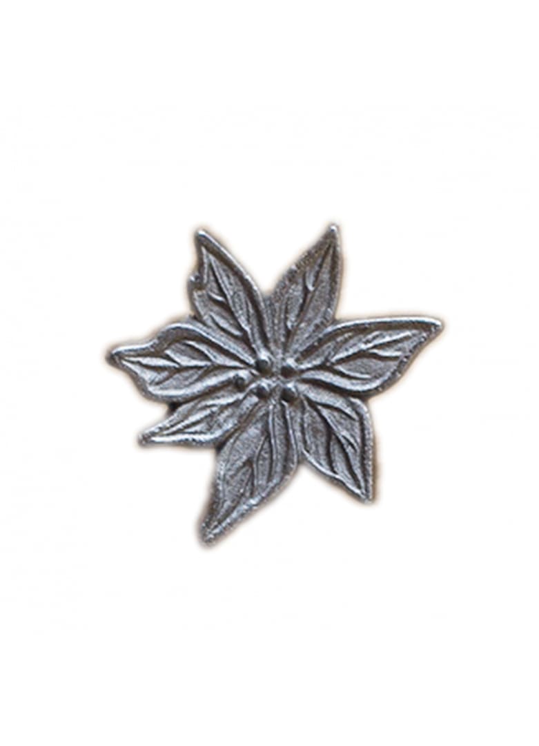 Bouton de porte edelweiss argenté mat Bouton de porte edelweiss argenté mat