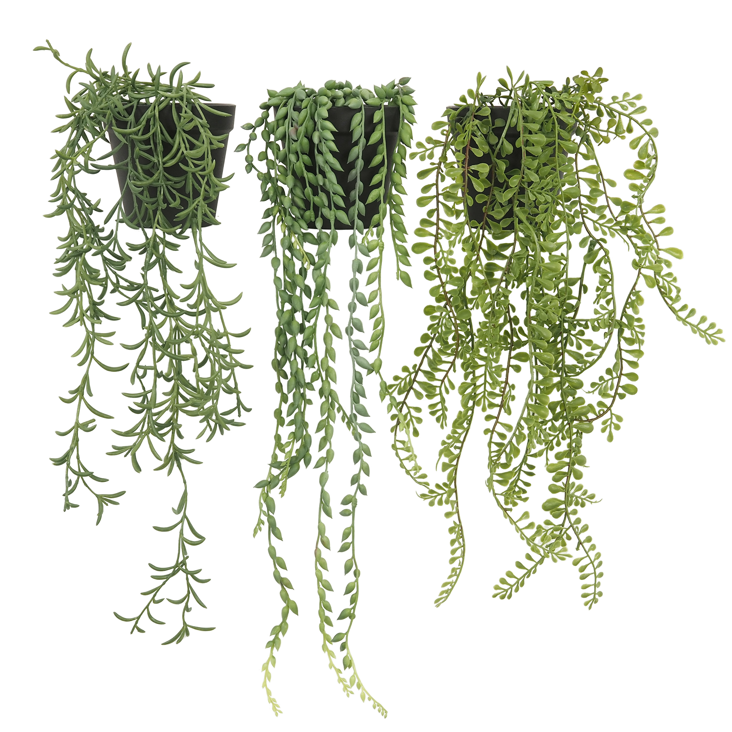 3 Succulentes Retombantes Artificielles, H.60cm