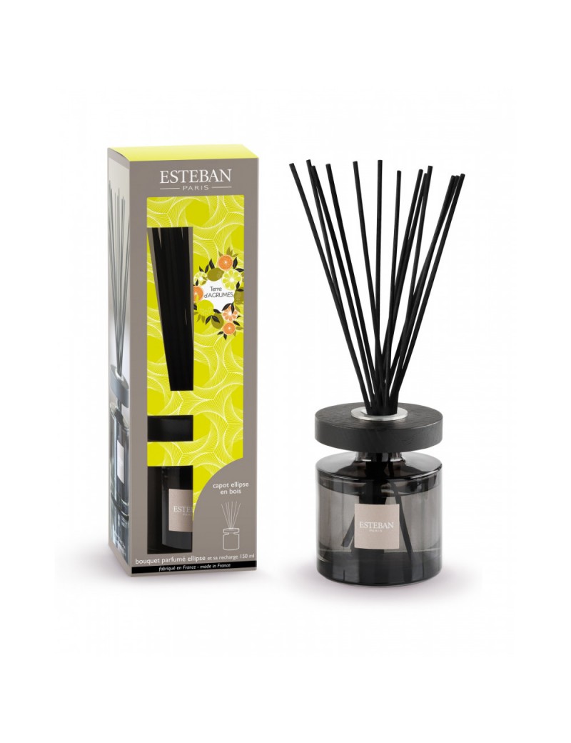 Bouquet parfumé ellipse et sa recharge 150ml terre d'agrumes Bouquet parfumé ellipse et sa recharge 150ml terre d'agrumes