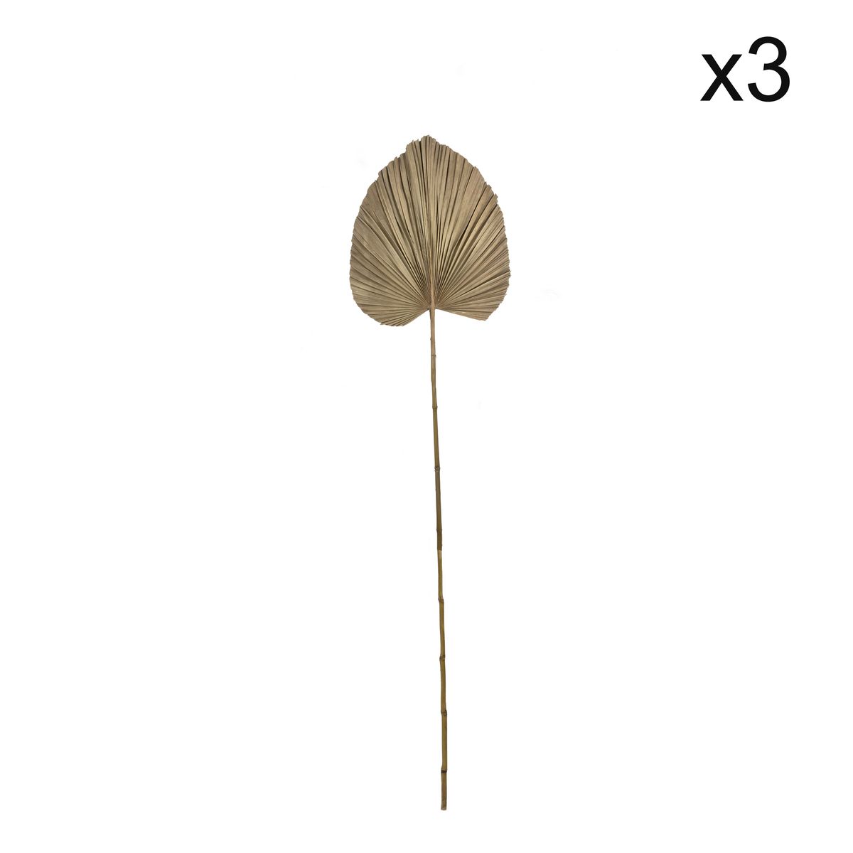 Set de 3 décoration en feuilles de palmier Set de 3 décoration en feuilles de palmier