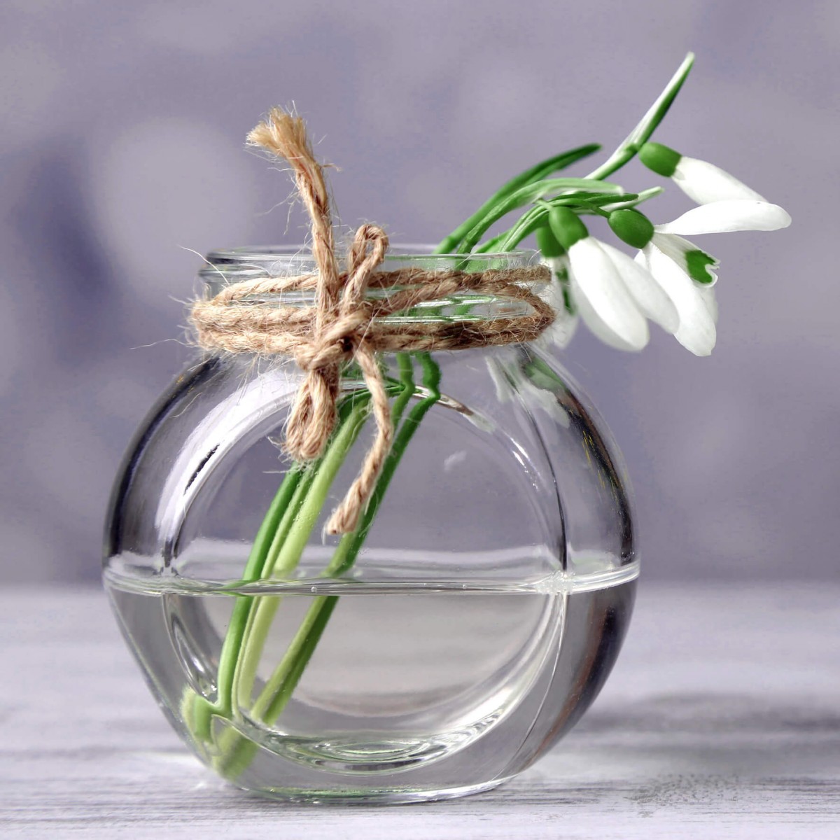 Tableau sur verre perce neige 45x45 cm Tableau sur verre perce neige 45x45 cm