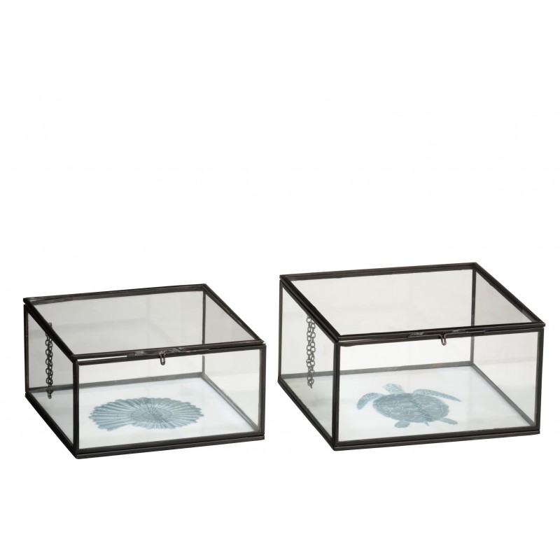 Boîtes tortue et coquillage en métal et verre - Lot de 2 Boîtes tortue et coquillage en métal et verre - Lot de 2