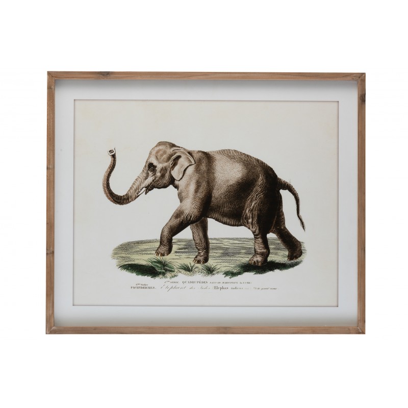 Cadre éléphant bois et verre 80x66cm Cadre éléphant bois et verre 80x66cm