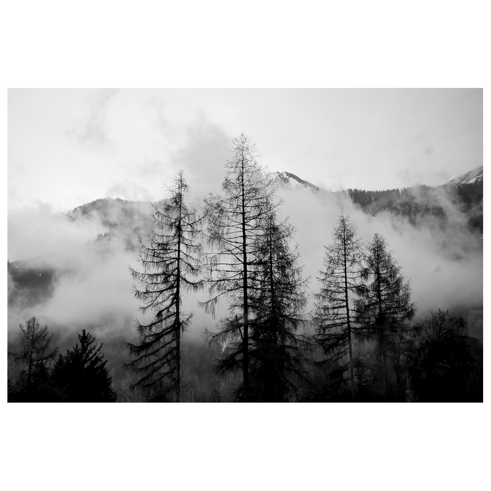 Tableau impression sur toile des pins nus dans les nuages 60x90cm Tableau impression sur toile des pins nus dans les nuages 60x90cm