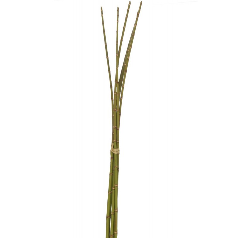 Botte de bambou vert H110cm Botte de bambou vert H110cm